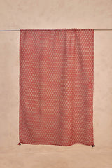 Rust Bagru Print Doria Dupatta
