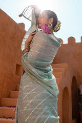 Pankhuri Chanderi Saree