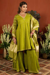 Nimboli Brocade Kurta