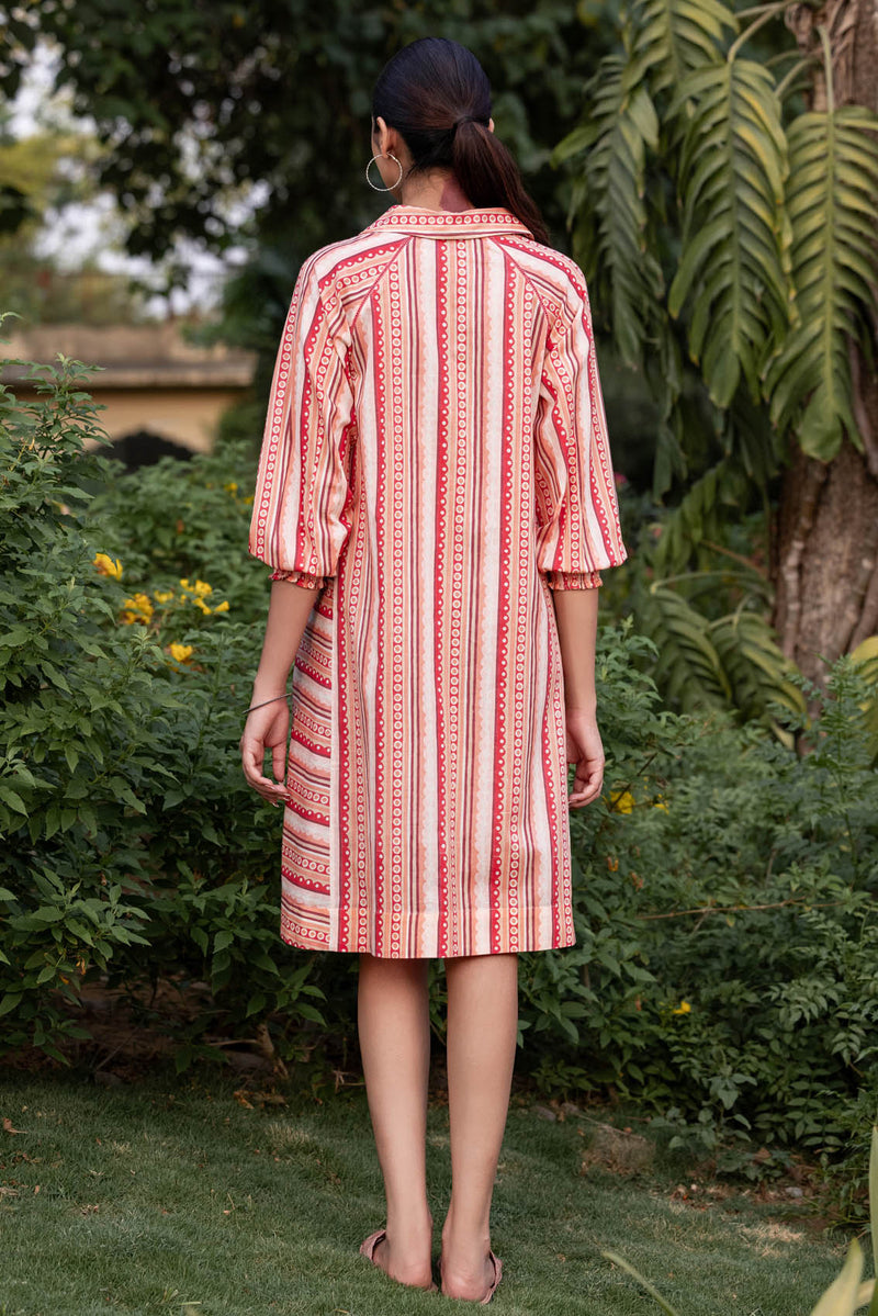 Border Scallop Dress