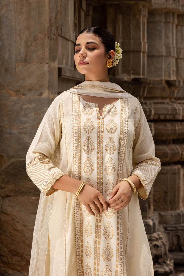 Pemal Panel Kurta