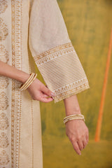 Pemal Panel Kurta