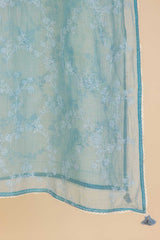 Sky Blue Embrodiered Dupatta
