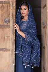 Abha Bandhej Kurta